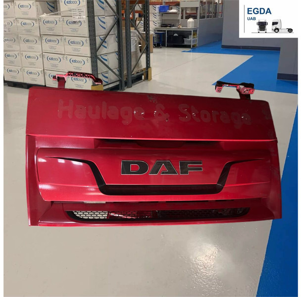 DAF - Grill: picture 1 DAF - Grill: picture 1
