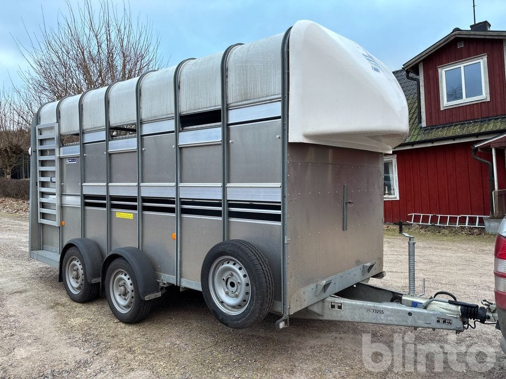 IFOR WILLIAMS - Livestock trailer: picture 2 IFOR WILLIAMS - Livestock trailer: picture 2