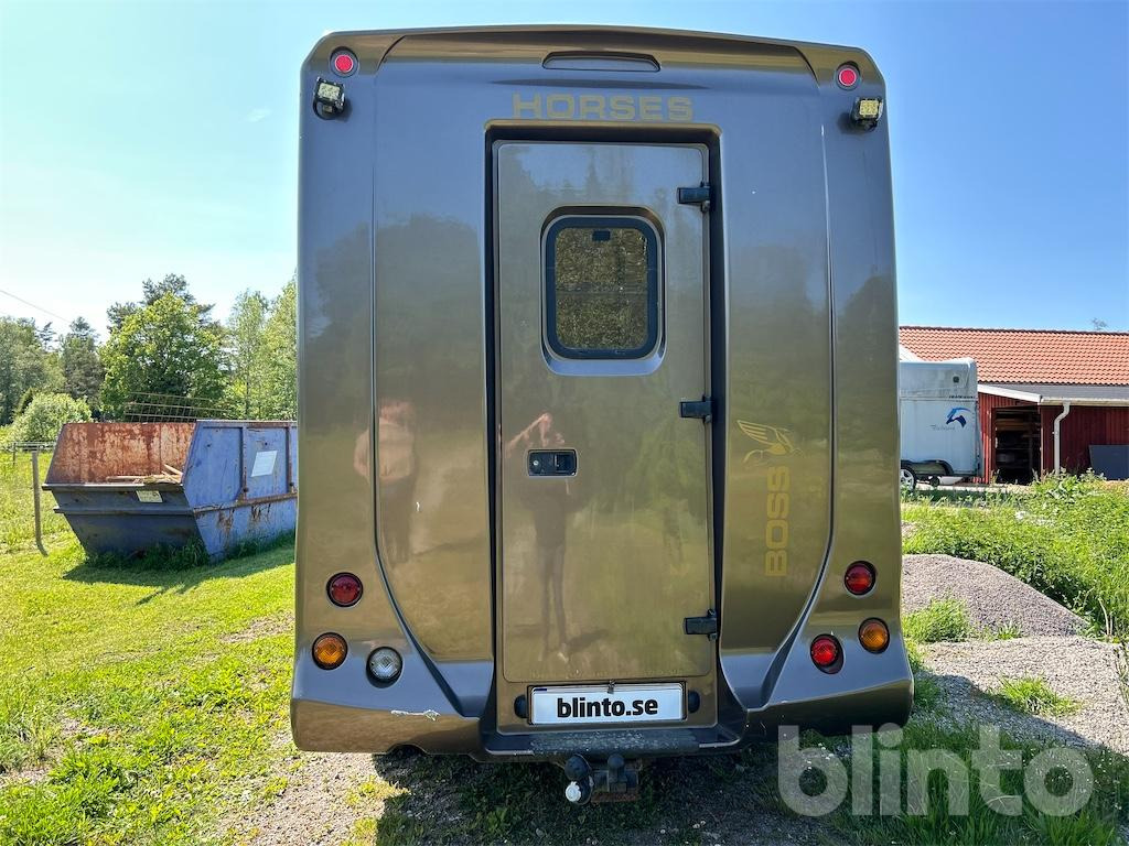 PEUGEOT Supa-lite - Horse truck, Commercial vehicle: picture 5 PEUGEOT Supa-lite - Horse truck, Commercial vehicle: picture 5