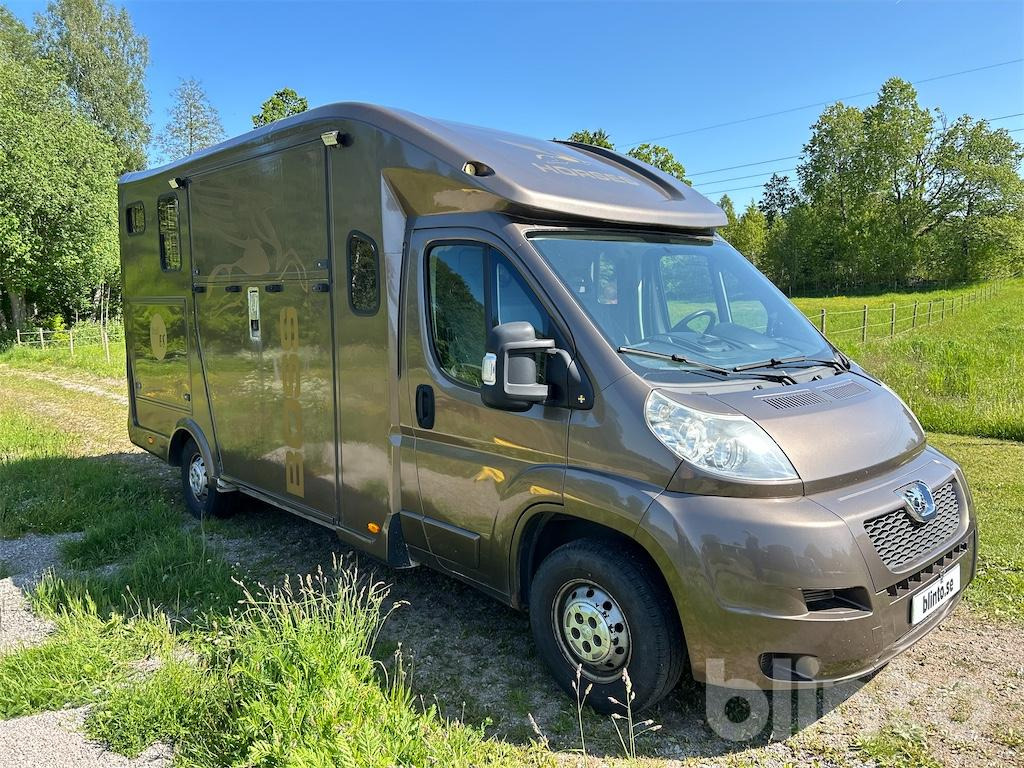 PEUGEOT Supa-lite - Horse truck, Commercial vehicle: picture 3 PEUGEOT Supa-lite - Horse truck, Commercial vehicle: picture 3