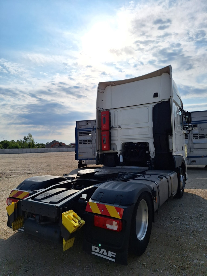DAF XF 480 - Tractor unit: picture 5 DAF XF 480 - Tractor unit: picture 5